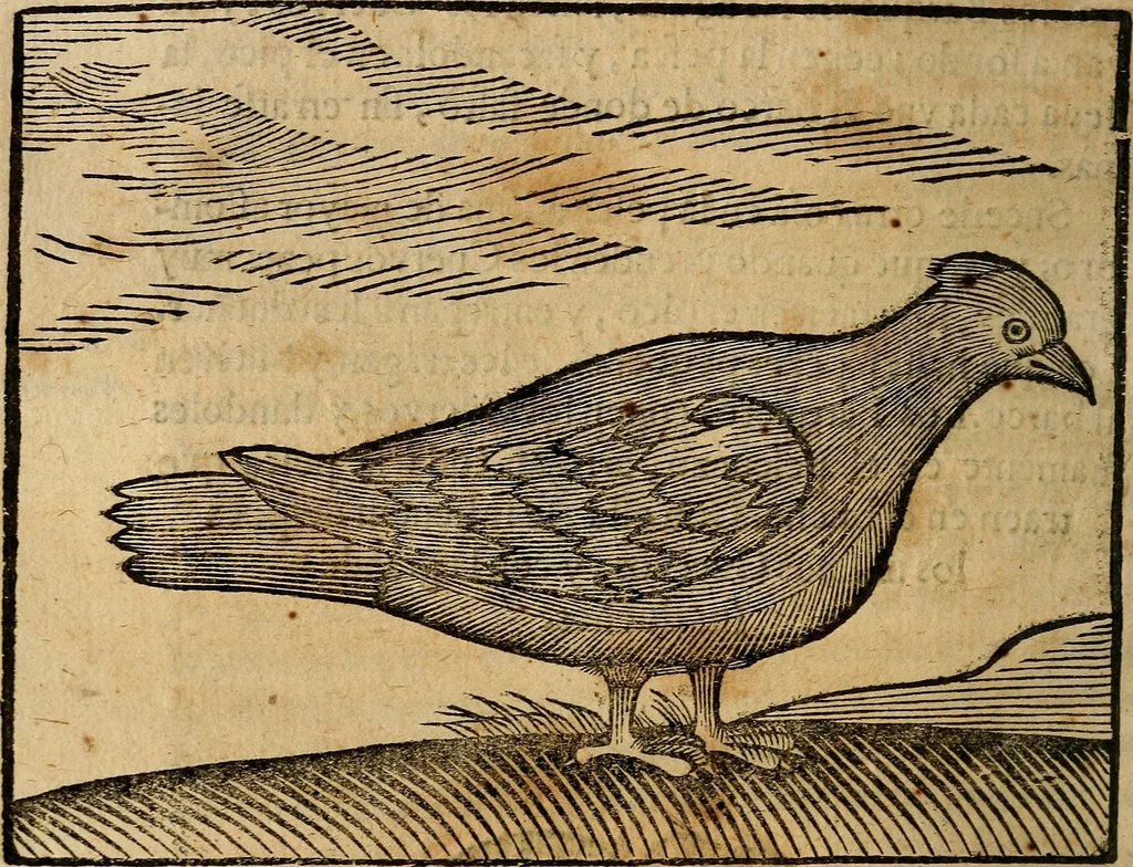 An illustration from Govierno general, moral, y politico. : Hallado en las aves mas generosas, y nobles. Sacado de sus naturales virtudes, y propriedades. Con qvarto tablas diferentes; es la vna para sermones varios de tiempo, y de Santos., 1696, leaf 381