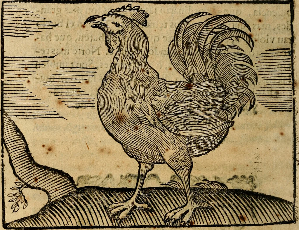 An illustration from Govierno general, moral, y politico. : Hallado en las aves mas generosas, y nobles. Sacado de sus naturales virtudes, y propriedades. Con qvarto tablas diferentes; es la vna para sermones varios de tiempo, y de Santos., 1696, leaf 407