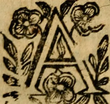 An illustration from Govierno general, moral, y politico. : Hallado en las aves mas generosas, y nobles. Sacado de sus naturales virtudes, y propriedades. Con qvarto tablas diferentes; es la vna para sermones varios de tiempo, y de Santos., 1696, leaf 407