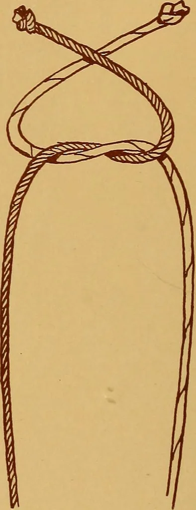 An illustration from A graded course in cord, raffia, lacer work and sewing for elementary schools, 1913, leaf 107