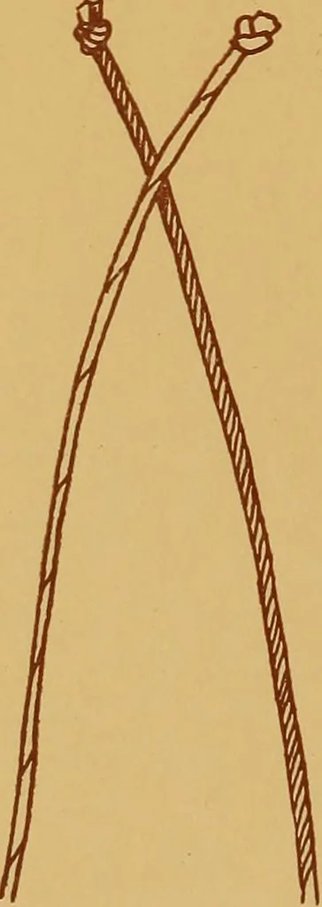 An illustration from A graded course in cord, raffia, lacer work and sewing for elementary schools, 1913, leaf 147