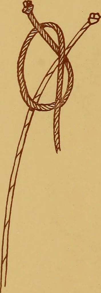 An illustration from A graded course in cord, raffia, lacer work and sewing for elementary schools, 1913, leaf 147