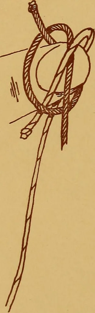 An illustration from A graded course in cord, raffia, lacer work and sewing for elementary schools, 1913, leaf 147