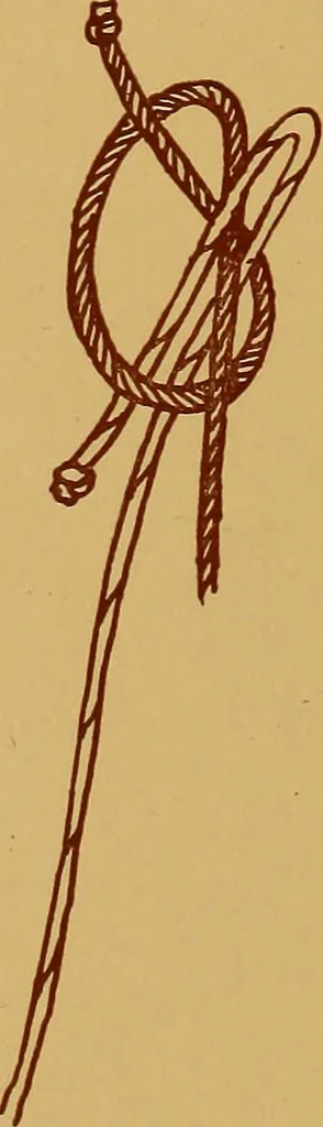 An illustration from A graded course in cord, raffia, lacer work and sewing for elementary schools, 1913, leaf 147