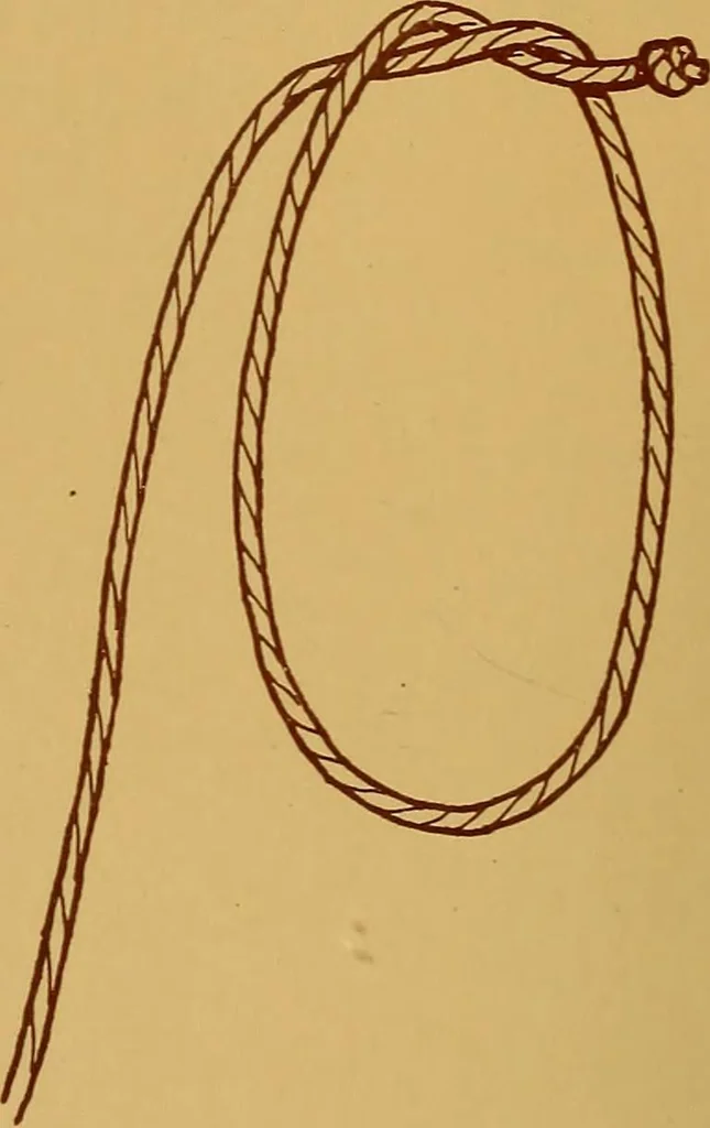 An illustration from A graded course in cord, raffia, lacer work and sewing for elementary schools, 1913, leaf 175