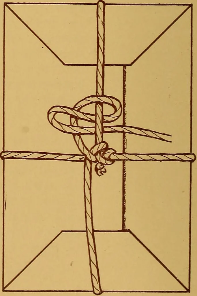 An illustration from A graded course in cord, raffia, lacer work and sewing for elementary schools, 1913, leaf 177