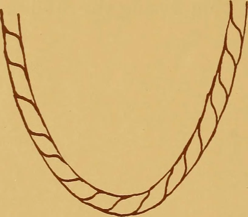 An illustration from A graded course in cord, raffia, lacer work and sewing for elementary schools, 1913, leaf 19