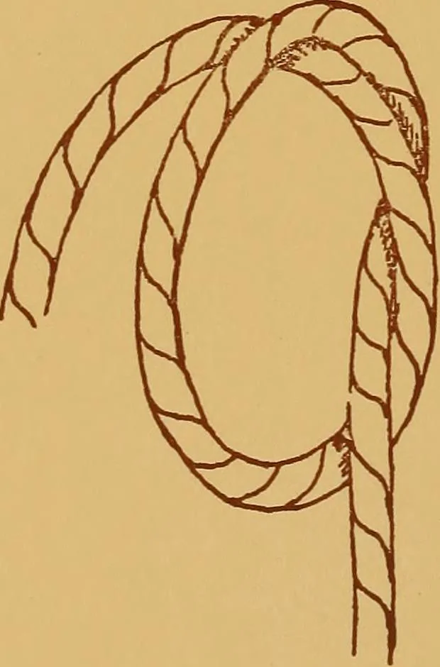 An illustration from A graded course in cord, raffia, lacer work and sewing for elementary schools, 1913, leaf 19