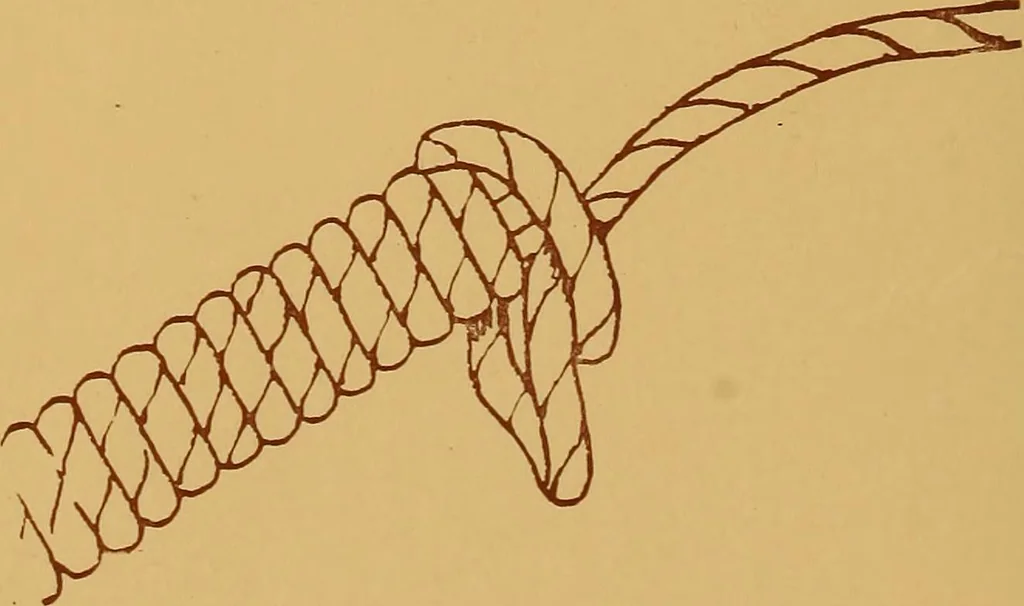 An illustration from A graded course in cord, raffia, lacer work and sewing for elementary schools, 1913, leaf 19