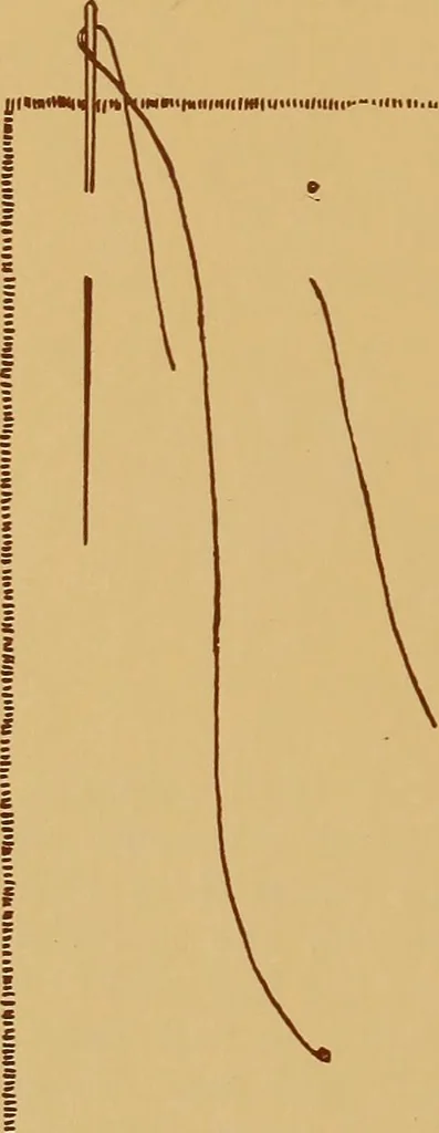 An illustration from A graded course in cord, raffia, lacer work and sewing for elementary schools, 1913, leaf 237