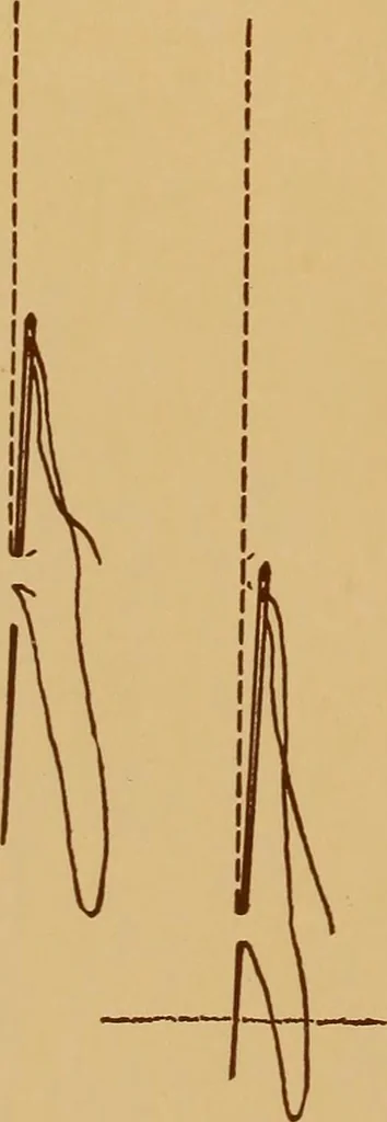 An illustration from A graded course in cord, raffia, lacer work and sewing for elementary schools, 1913, leaf 253
