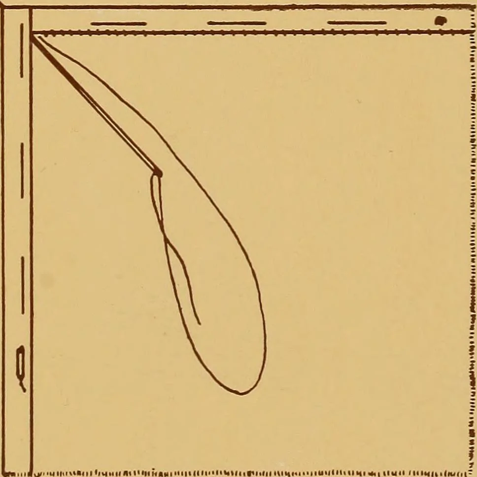 An illustration from A graded course in cord, raffia, lacer work and sewing for elementary schools, 1913, leaf 285