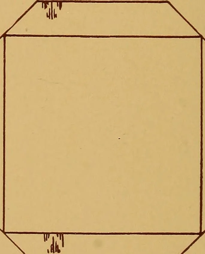 An illustration from A graded course in cord, raffia, lacer work and sewing for elementary schools, 1913, leaf 297