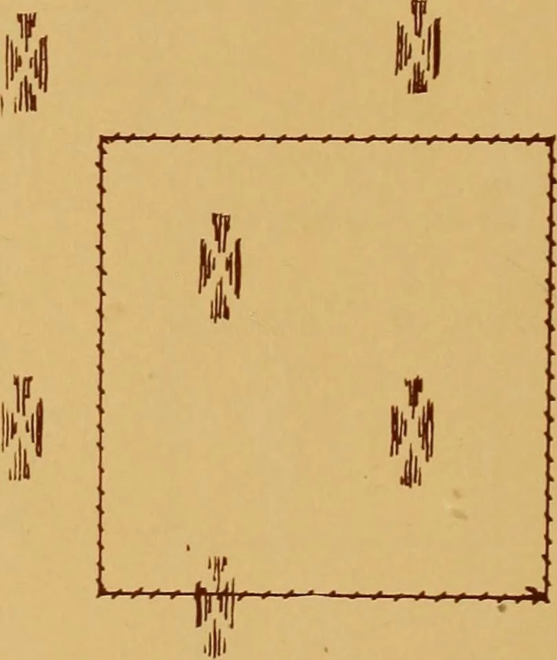 An illustration from A graded course in cord, raffia, lacer work and sewing for elementary schools, 1913, leaf 299