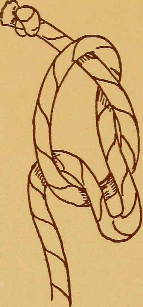 An illustration from A graded course in cord, raffia, lacer work and sewing for elementary schools, 1913, leaf 33
