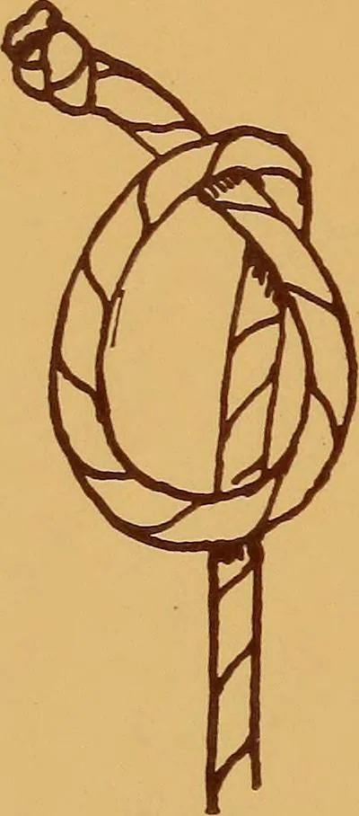 An illustration from A graded course in cord, raffia, lacer work and sewing for elementary schools, 1913, leaf 59