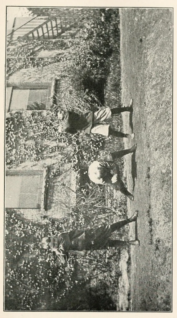 An illustration from Graded games and rhythmic exercises for primary schools : (for the school room and playground), 1907, leaf 171