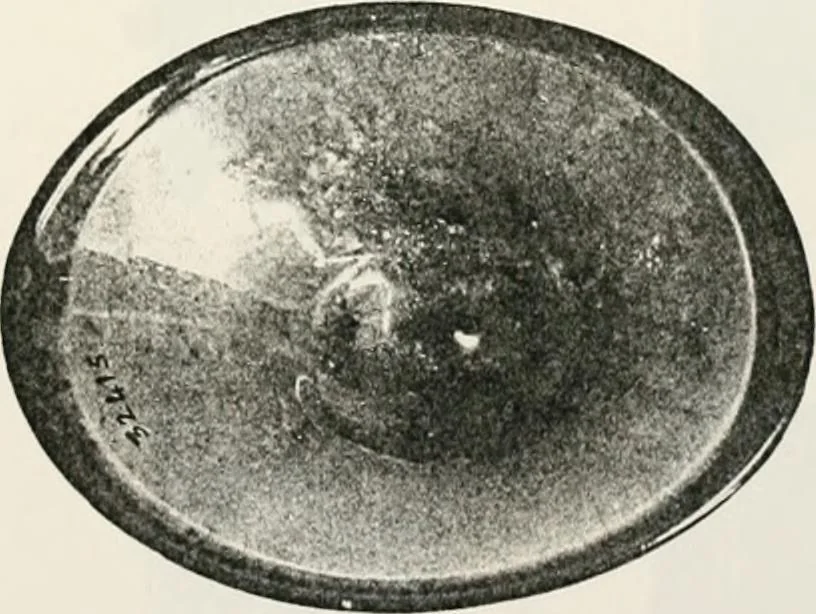 An illustration from Graeco-Egyptian glass, 1905, leaf 105