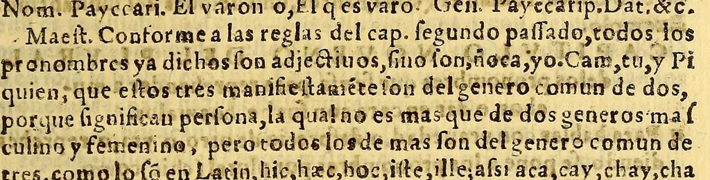 An illustration from Gramatica y arte nueua de la lengua general de todo el Peru, llamada lengua Quichua, o lengua del Inca. : Añadida y cumplida en todo lo que le faltaua de tiempos, y de la Grammatica, y recogido en forma de arte lo mas necessario en los dos primeros libros. Con mas otros dos libros postreros de addiciones al Arte para mas perficionarla, el vno para alcançar la copia de vocablos, y el otro para la elegancia y ornato. Compuesta por el padre Diego Gonçalez Holguin dela Compañia de Iesus natural [sic] de Caçeres, 1607, leaf 39