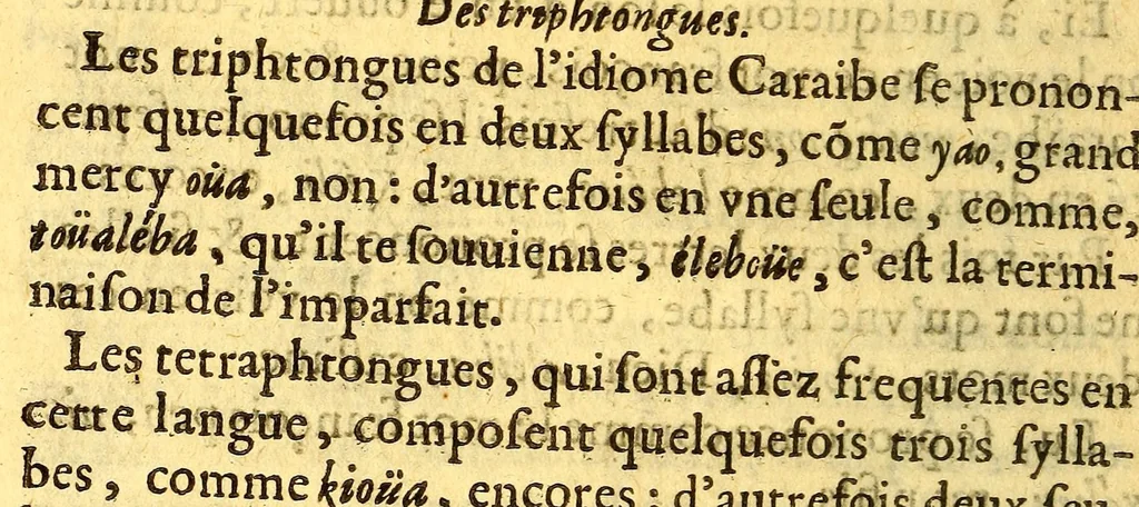 An illustration from Grammaire caraibe., 1667, leaf 20