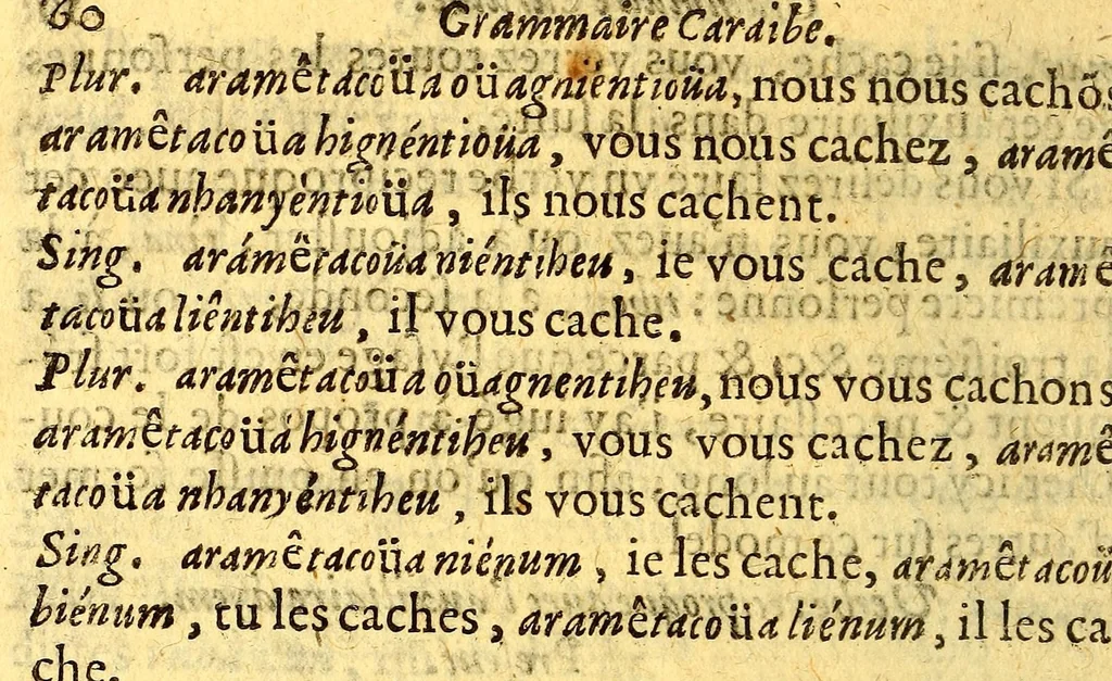 An illustration from Grammaire caraibe., 1667, leaf 66
