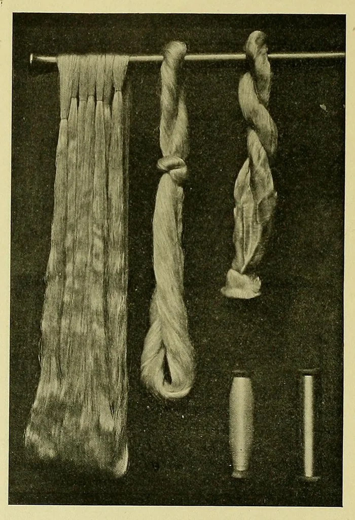 An illustration from Grammaire des arts de la soie, 1912, leaf 30
