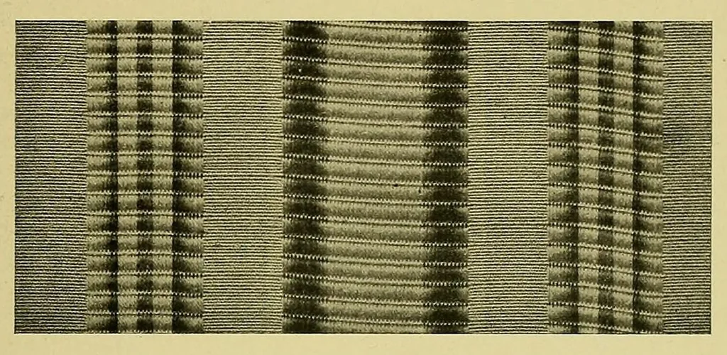 An illustration from Grammaire des arts de la soie, 1912, leaf 91