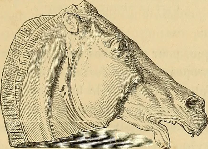 An illustration from Grammaire des arts décoratifs, décoration intérieure de la maison, 1882, leaf 275