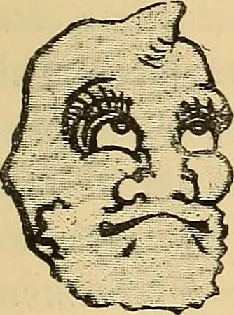 An illustration from Grammaire des arts décoratifs, décoration intérieure de la maison, 1882, leaf 505
