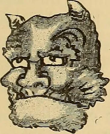 An illustration from Grammaire des arts décoratifs, décoration intérieure de la maison, 1882, leaf 509