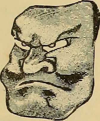 An illustration from Grammaire des arts décoratifs, décoration intérieure de la maison, 1882, leaf 515