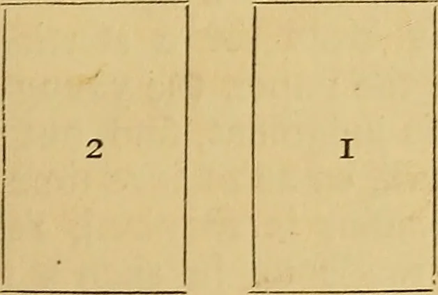 An illustration from The grammar of lithography : A practical guide for the artist and printer in commercial & artistic lithography, & chromolithography, zincography, photo-lithography, and lithographic machine printing., 1880, leaf 110