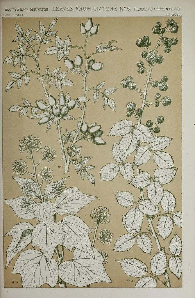 An illustration from The grammar of ornament, 1865, leaf 665