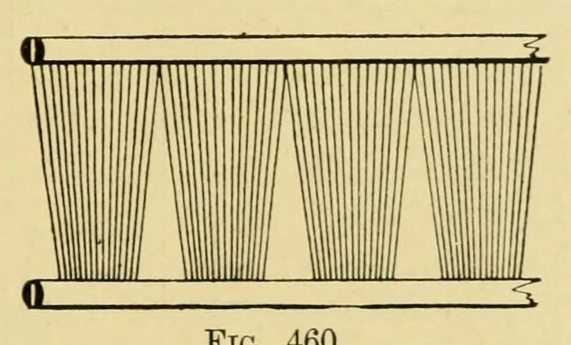An illustration from Grammar of textile design, 1906, leaf 271