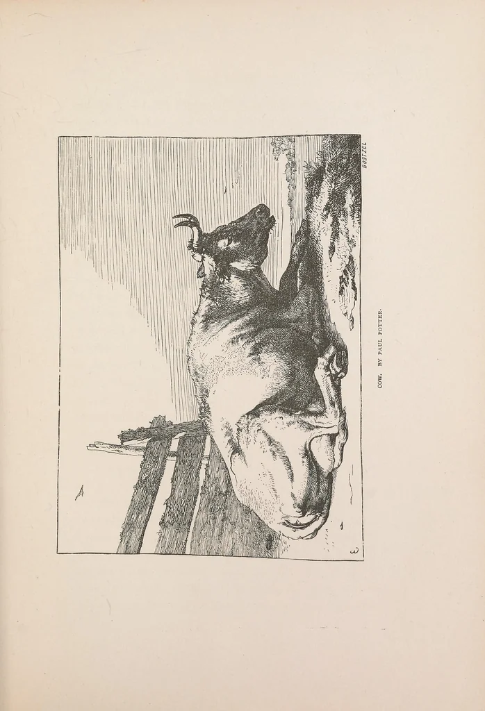 An illustration from The grammar of painting and engraving;, 1874, leaf 257