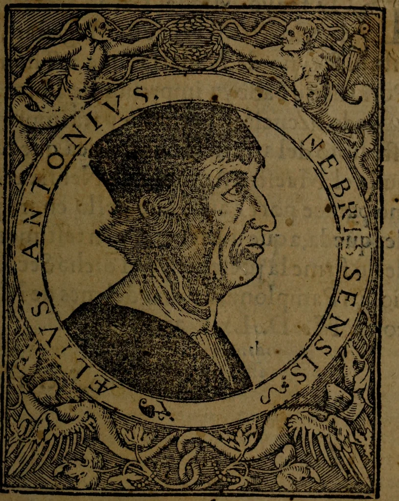 An illustration from Grammatica, 1569, leaf 4