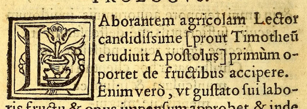 An illustration from Grammatica Maturini tractatus omnium ferè qu[a]e grammatices studiosis tradi sole[n]t, 1559, leaf 10