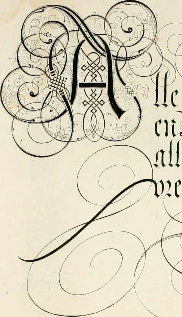 An illustration from Gram[m]ato-graphices : jn qvo varia scripturae emblemata, belgicis, germanicis, italicis, hispanicis, gallicis, et latinis characterib[us] exarata : cum singulorum anatomicis fundamentis ad exacté pingedum perquàm utilia, oculis spectanda jmitandaq[ue], proponuntur, 1605, leaf 15
