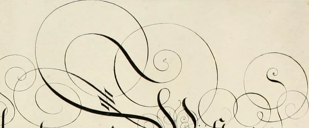 An illustration from Gram[m]ato-graphices : jn qvo varia scripturae emblemata, belgicis, germanicis, italicis, hispanicis, gallicis, et latinis characterib[us] exarata : cum singulorum anatomicis fundamentis ad exacté pingedum perquàm utilia, oculis spectanda jmitandaq[ue], proponuntur, 1605, leaf 15