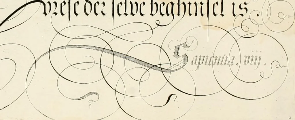 An illustration from Gram[m]ato-graphices : jn qvo varia scripturae emblemata, belgicis, germanicis, italicis, hispanicis, gallicis, et latinis characterib[us] exarata : cum singulorum anatomicis fundamentis ad exacté pingedum perquàm utilia, oculis spectanda jmitandaq[ue], proponuntur, 1605, leaf 15