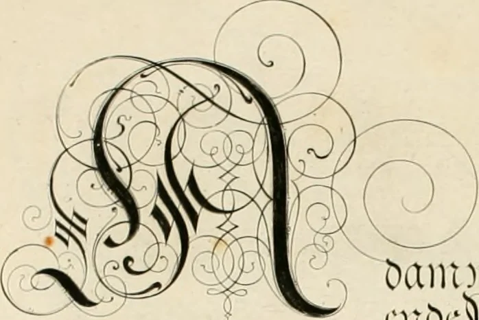 An illustration from Gram[m]ato-graphices : jn qvo varia scripturae emblemata, belgicis, germanicis, italicis, hispanicis, gallicis, et latinis characterib[us] exarata : cum singulorum anatomicis fundamentis ad exacté pingedum perquàm utilia, oculis spectanda jmitandaq[ue], proponuntur, 1605, leaf 16