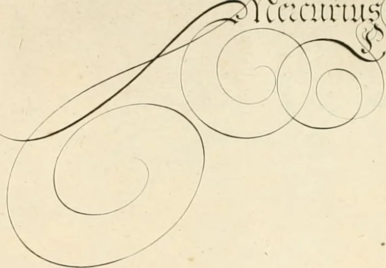 An illustration from Gram[m]ato-graphices : jn qvo varia scripturae emblemata, belgicis, germanicis, italicis, hispanicis, gallicis, et latinis characterib[us] exarata : cum singulorum anatomicis fundamentis ad exacté pingedum perquàm utilia, oculis spectanda jmitandaq[ue], proponuntur, 1605, leaf 16