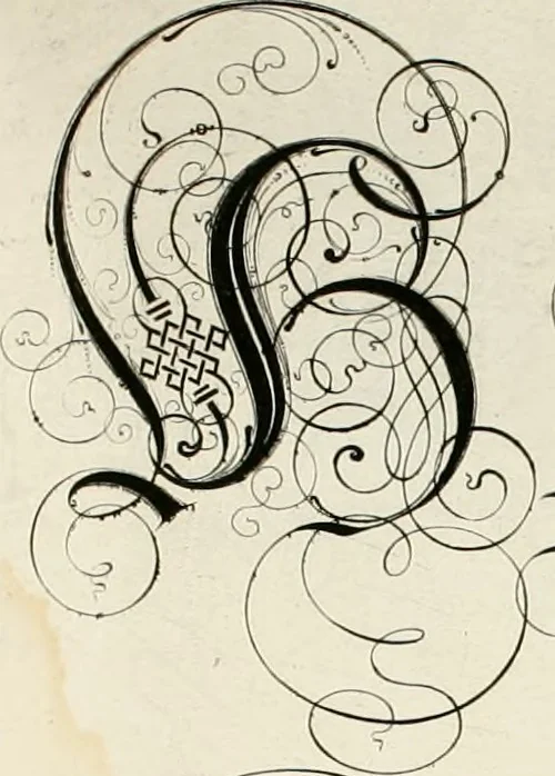 An illustration from Gram[m]ato-graphices : jn qvo varia scripturae emblemata, belgicis, germanicis, italicis, hispanicis, gallicis, et latinis characterib[us] exarata : cum singulorum anatomicis fundamentis ad exacté pingedum perquàm utilia, oculis spectanda jmitandaq[ue], proponuntur, 1605, leaf 17