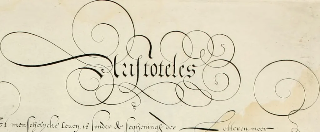 An illustration from Gram[m]ato-graphices : jn qvo varia scripturae emblemata, belgicis, germanicis, italicis, hispanicis, gallicis, et latinis characterib[us] exarata : cum singulorum anatomicis fundamentis ad exacté pingedum perquàm utilia, oculis spectanda jmitandaq[ue], proponuntur, 1605, leaf 17