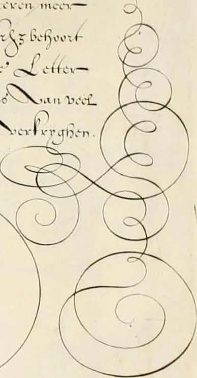 An illustration from Gram[m]ato-graphices : jn qvo varia scripturae emblemata, belgicis, germanicis, italicis, hispanicis, gallicis, et latinis characterib[us] exarata : cum singulorum anatomicis fundamentis ad exacté pingedum perquàm utilia, oculis spectanda jmitandaq[ue], proponuntur, 1605, leaf 17