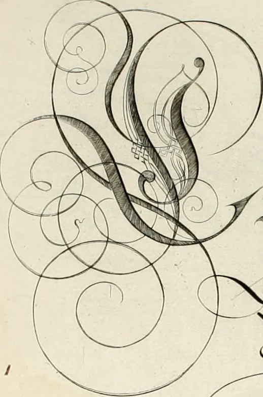 An illustration from Gram[m]ato-graphices : jn qvo varia scripturae emblemata, belgicis, germanicis, italicis, hispanicis, gallicis, et latinis characterib[us] exarata : cum singulorum anatomicis fundamentis ad exacté pingedum perquàm utilia, oculis spectanda jmitandaq[ue], proponuntur, 1605, leaf 18