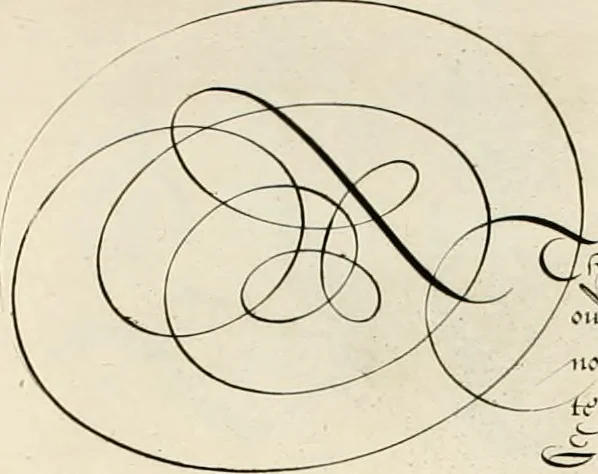 An illustration from Gram[m]ato-graphices : jn qvo varia scripturae emblemata, belgicis, germanicis, italicis, hispanicis, gallicis, et latinis characterib[us] exarata : cum singulorum anatomicis fundamentis ad exacté pingedum perquàm utilia, oculis spectanda jmitandaq[ue], proponuntur, 1605, leaf 19