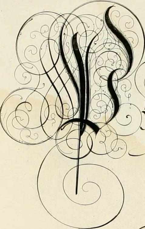 An illustration from Gram[m]ato-graphices : jn qvo varia scripturae emblemata, belgicis, germanicis, italicis, hispanicis, gallicis, et latinis characterib[us] exarata : cum singulorum anatomicis fundamentis ad exacté pingedum perquàm utilia, oculis spectanda jmitandaq[ue], proponuntur, 1605, leaf 21