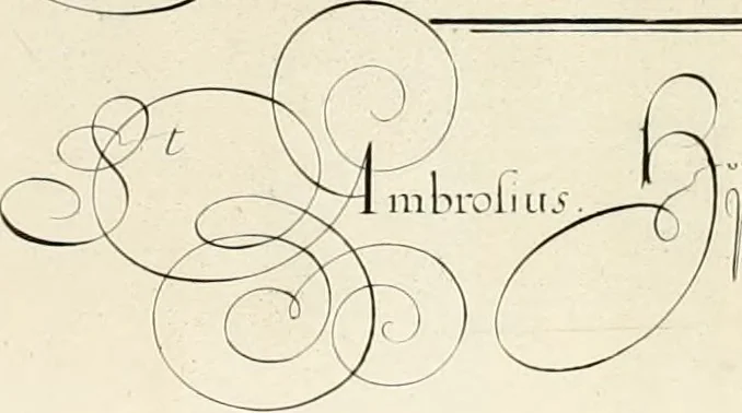 An illustration from Gram[m]ato-graphices : jn qvo varia scripturae emblemata, belgicis, germanicis, italicis, hispanicis, gallicis, et latinis characterib[us] exarata : cum singulorum anatomicis fundamentis ad exacté pingedum perquàm utilia, oculis spectanda jmitandaq[ue], proponuntur, 1605, leaf 21
