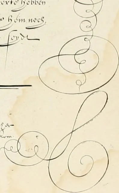 An illustration from Gram[m]ato-graphices : jn qvo varia scripturae emblemata, belgicis, germanicis, italicis, hispanicis, gallicis, et latinis characterib[us] exarata : cum singulorum anatomicis fundamentis ad exacté pingedum perquàm utilia, oculis spectanda jmitandaq[ue], proponuntur, 1605, leaf 21